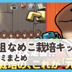 【元祖 なめこ栽培キット】口コミ評判まとめ