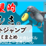 【ハトジャンプ】口コミ評判まとめ