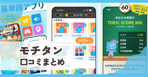 【モチタン】口コミ評判まとめ