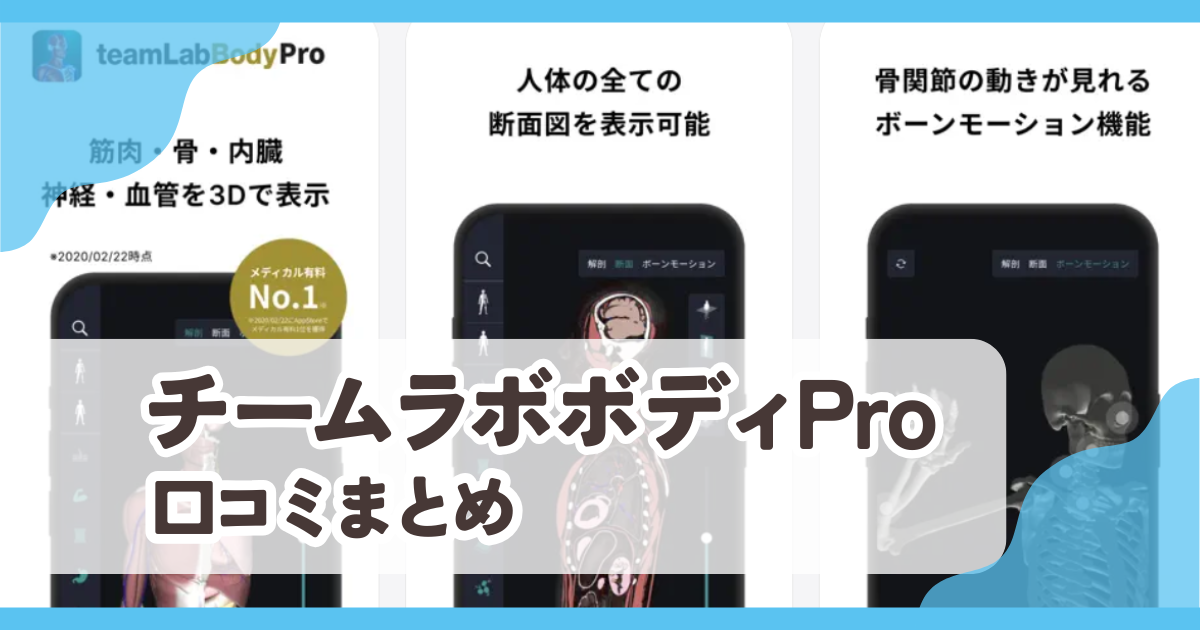 【チームラボボディPro】口コミ評判まとめ