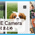 【LINE Camera】口コミ評判まとめ