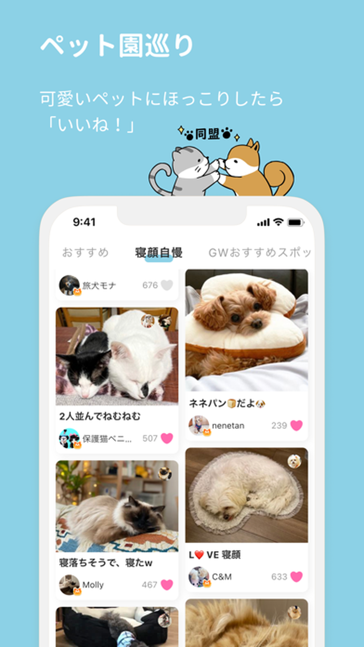 Petのスクリーンショット5